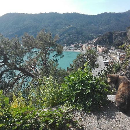 Il Sogno Apartments Monterosso al Mare Bagian luar foto