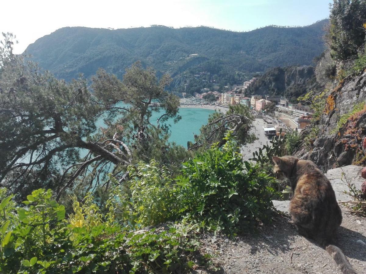 Il Sogno Apartments Monterosso al Mare Bagian luar foto